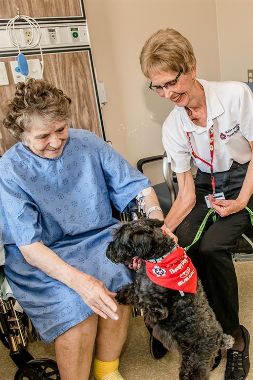 Patient petting pet therapy dog
